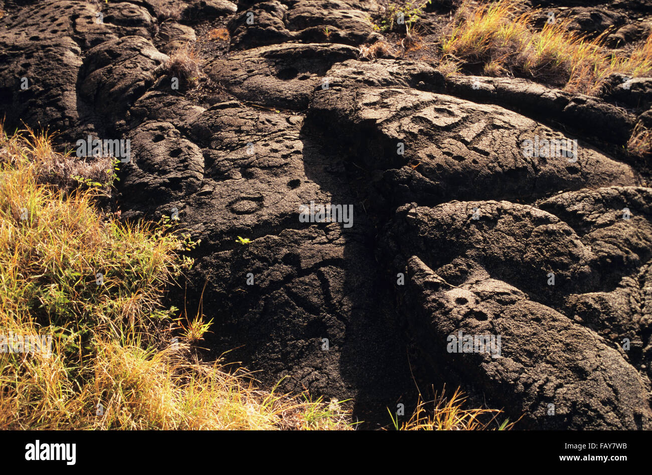 Big Island, Hawaii, Hawaii Volacoes National Park, Pu`uloa Petroglyphs in the ahupua`a(land division) of Panau Nui Stock Photo